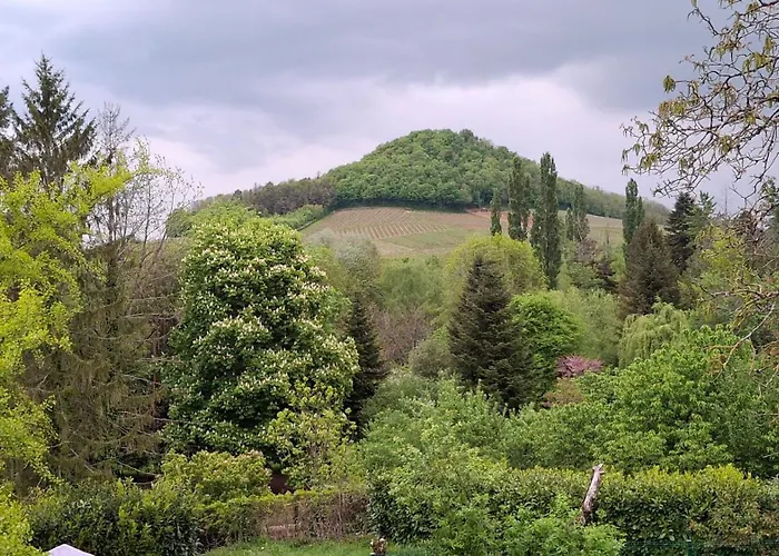 Studio Dans Belle Maison Ancienne Et Jardin Ferme