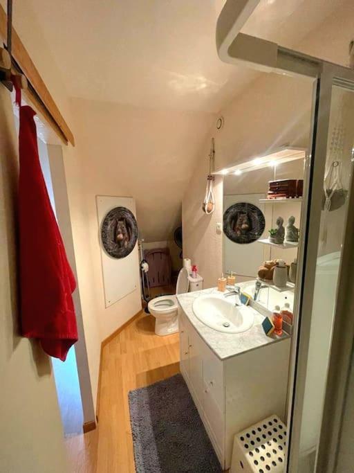 Apartamento Dans Belle Maison Ancienne Et Jardin Ferme L'Etoile (Jura)
