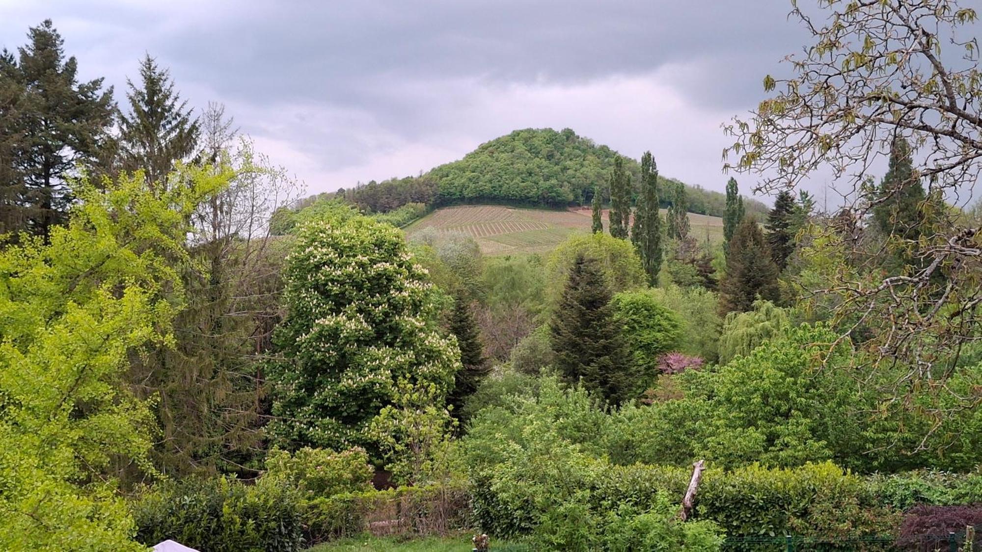 Dans Belle Maison Ancienne Et Jardin Ferme *